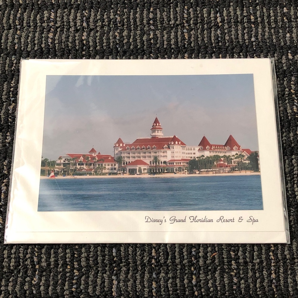 🛍️ Disney's Grand Floridian Resort & Spa Print